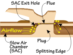 Parts inside the nest area