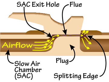 Nest area of a Native American flute - Inside cut-away view