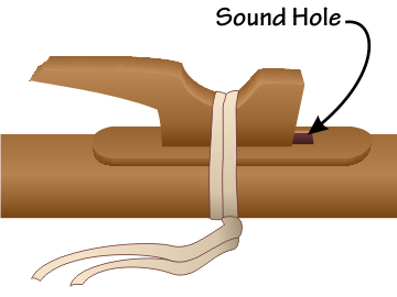 Location of the sound hole
