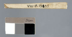 Image courtesy of the Canadian History Museum.