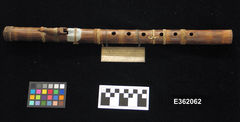Image courtesy of the Smithsonian Institution.