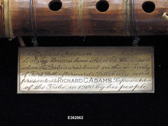 Image courtesy of the Smithsonian Institution.